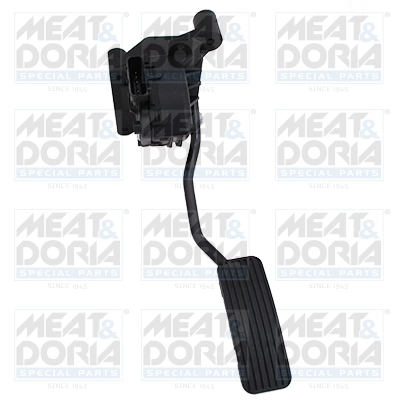 Accelerator Pedal Unit